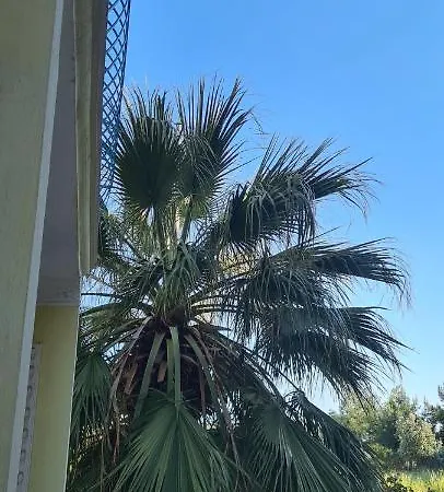 Atlantik Apart מלון דידים