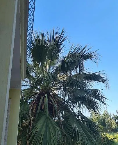 Atlantik Apart Hotel Didim